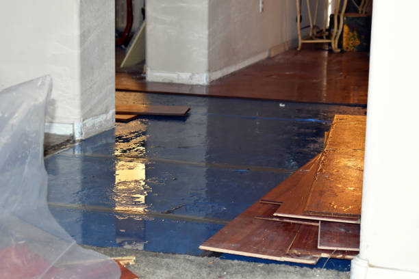 Professional Sewage Cleanup technician working in Stewart, OH
